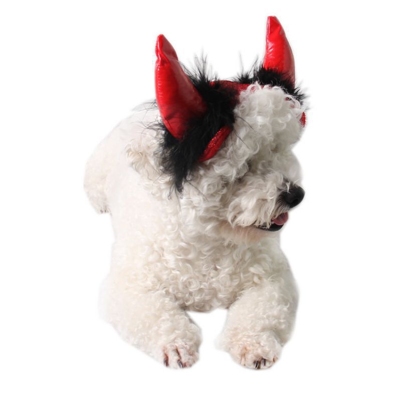 Halloween huisdierbenodigdheden halloween kat hoorn pet vampier kleine duivel volwassen hoorn pet