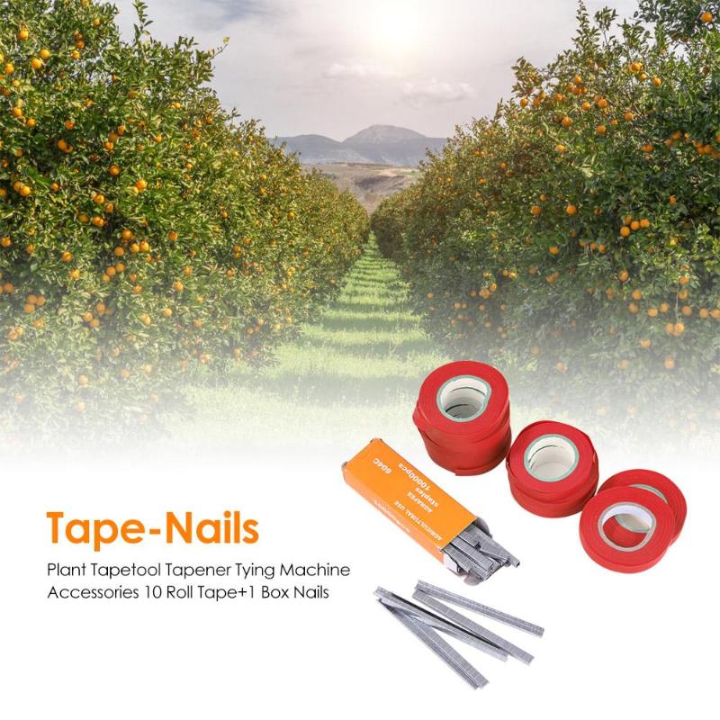 Plante de jardin Tapetool Tapener attachant Machine accessoires 10 rouleau ruban + 1 boîte ongles légumes raisin élagage outils