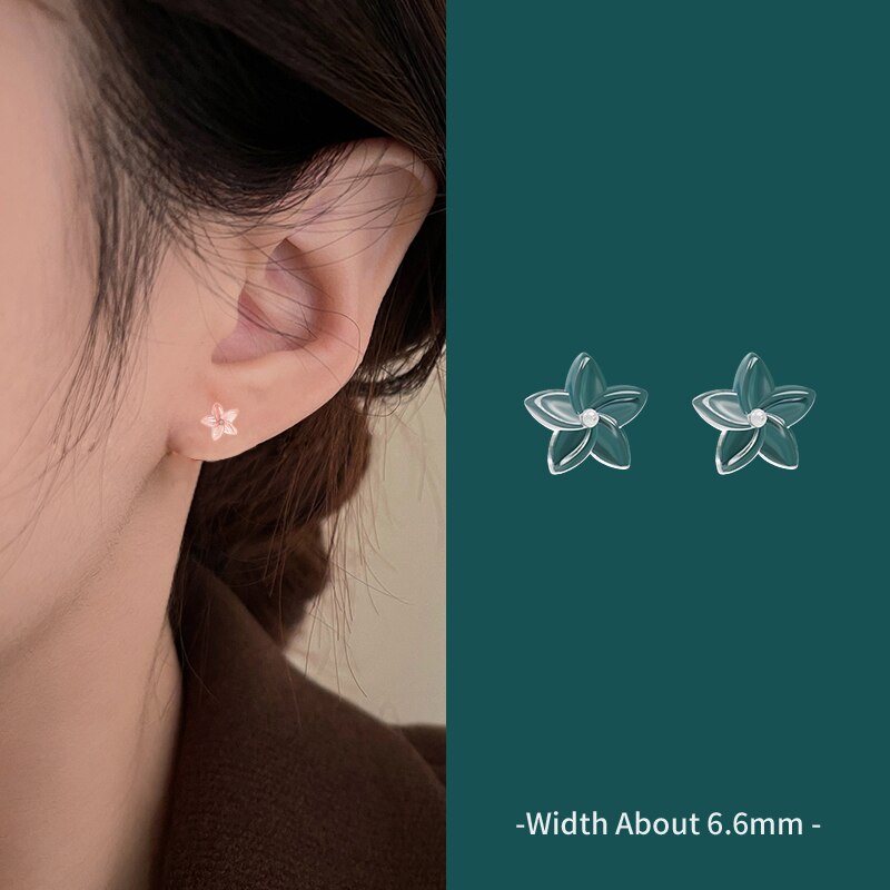 Ensemble de boucles d&#39;oreilles en résine Invisible hypoallergénique pour femmes et filles, bijoux de Protection des oreilles en plastique Transparent, broches de Piercing: 04