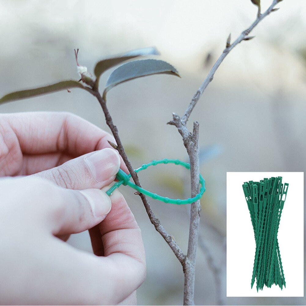 12/50Pcs Garden Cable Ties Plant Support Shrubs Fastener Tree Locking Adjustable Plastic Cable Ties Tools