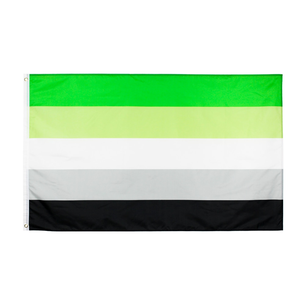 LGBTQIA Romantic Orientation Aromantic Pride Flag 90X150cm