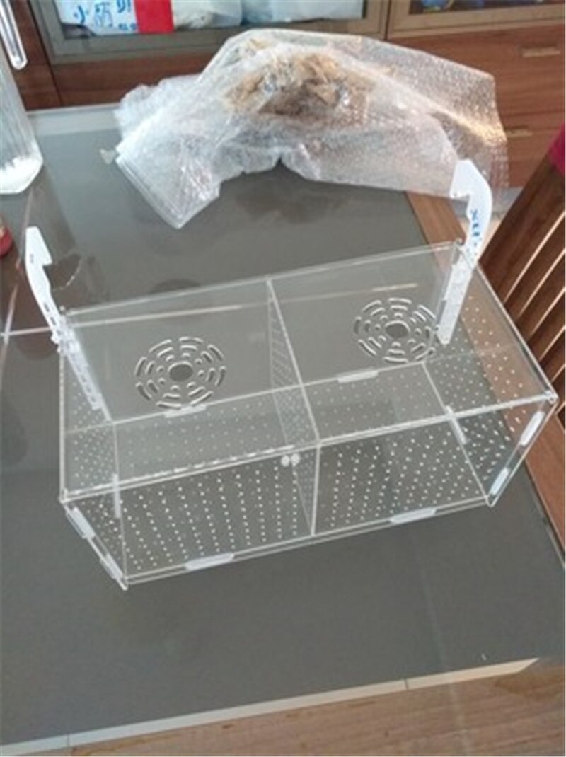 Caja de aislamiento para acuario, recipiente acrílico para incubar peces, 1 unidad