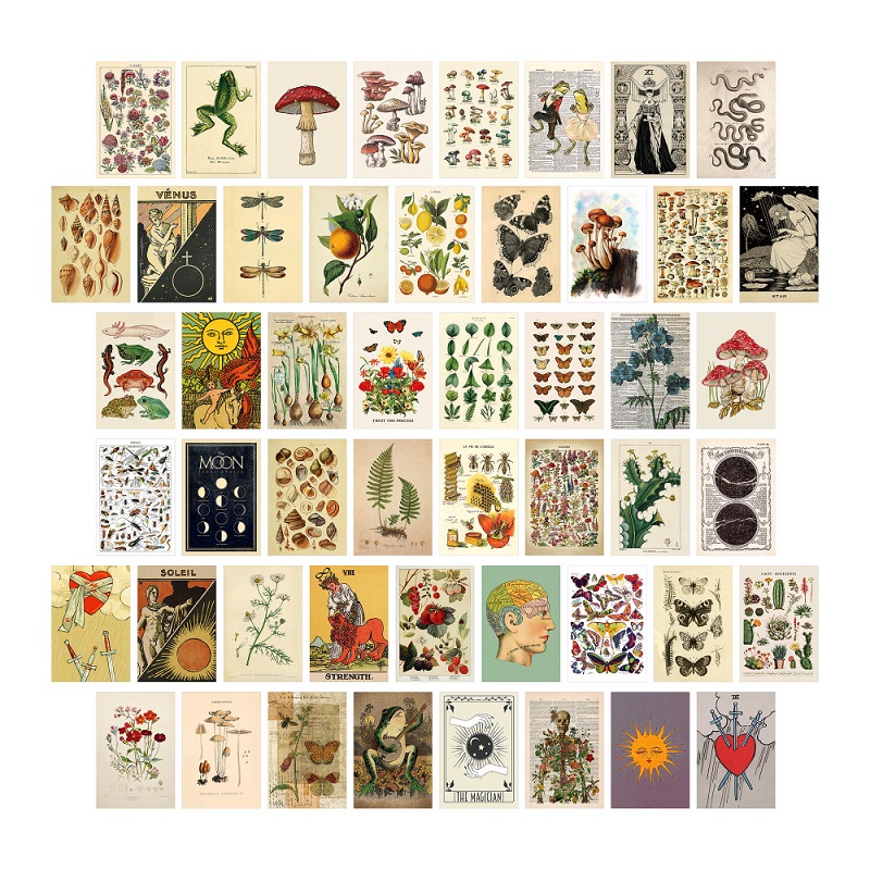 Juego de 50 hojas de postales decorativas para pared, pinturas decorativas, tarjetas de fotografía de estilo INS, fotos decorativas DIY: 15