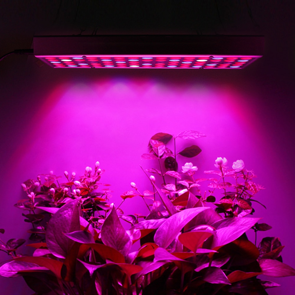 Planten Groeien LED Licht 25W 45W Volledige Spectrum voor Greenhouse Kweektent Planten Zaailing en Bloem Planten Groeien licht