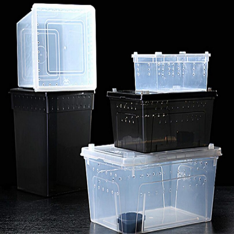 pet Feeding box Spider house frog farm insect turtles snake boxes reptiles workshop taller With air hole white black