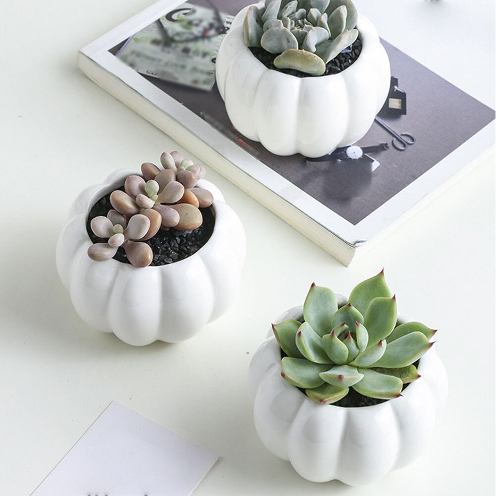 Ceramic Round Succulent Planter Flower Pot Oblate Flowerpot Treetop Bamboo Stand Garden Pots & Planters Flower Pots & Planters