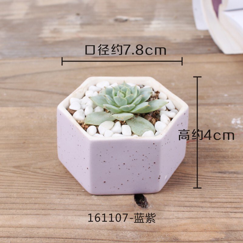 Maceta de cerámica pequeña y fresca con flor carnosa de JQWORV, macarrones arcoíris, macetero de dedo, plantación verde, adornos de escritorio, maceta: 5