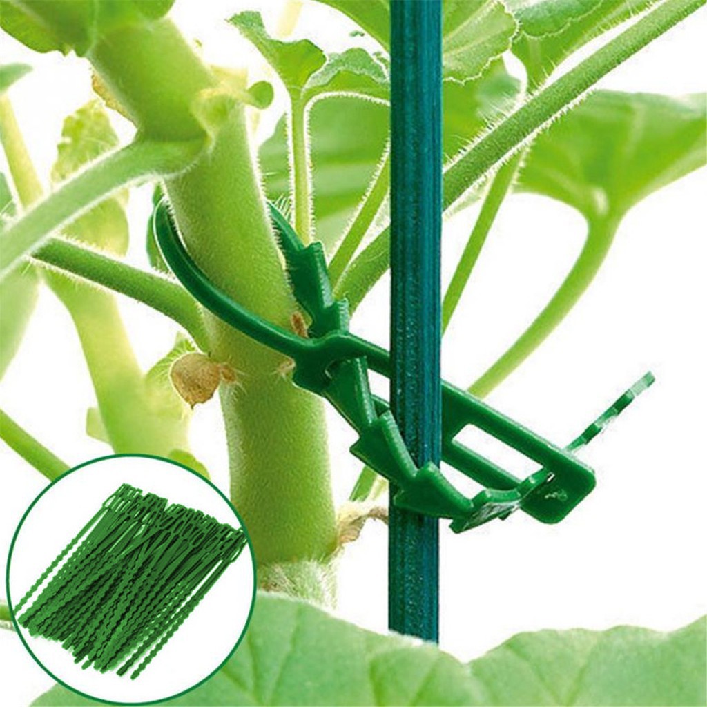 Garden Plant Ties Re-Usable Adjustable Plastic Tie Greenhouse Multi Purpose Tree