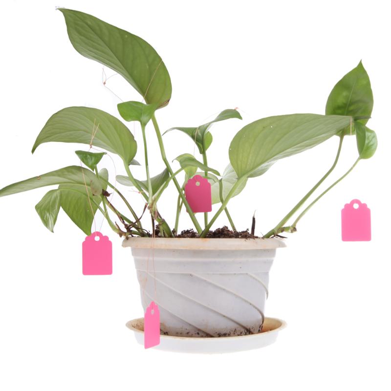 Etiquetas para plantas de vivero impermeables tipo T de PVC de 100 Uds., etiquetas para flores reutilizables de , etiquetas gruesas, adorno para jardín