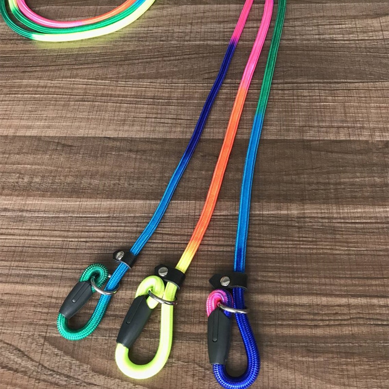 Regenboog P Keten Hondenriem Slip Halsband pet Wandelen Leads Nylon kleurrijke hond training Touw huisdier Tractie Voor kleine Medium honden