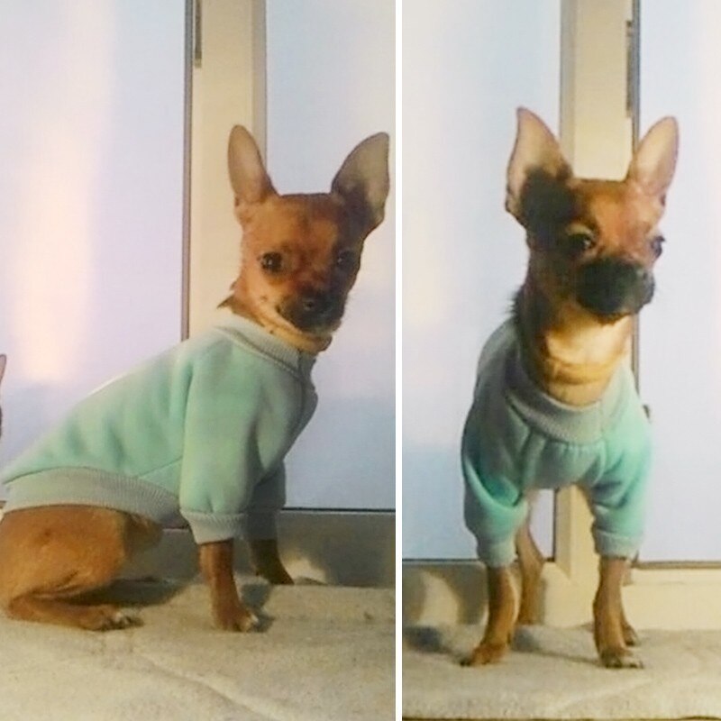 Winter Dog Clothes Warm Yorkies clothes Small Dog Cotton Outfit Pet Clothes Vest Coat Puppy Jacket for Chihuahua 23S2
