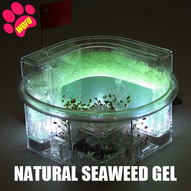 WOFUWOFU Lnsect Hotel，Ant Farm，Ant Glow Ocean View Villa Big Ants House Ant Nest Villa Insect Pet Anthill: green with light