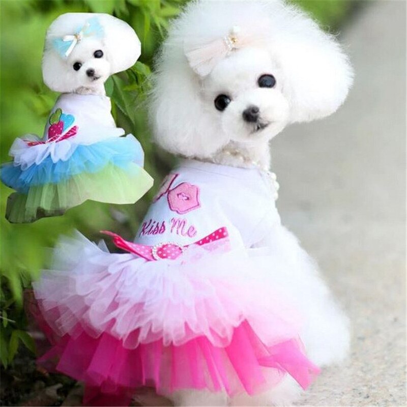 Hond Kanten Jurk Kleding Voor Chihuahua Gaas Kant Hond Kat Rok Zomer Hond Kleding Voor Kleine Honden Puppy Hond Print jurk XS-2XL