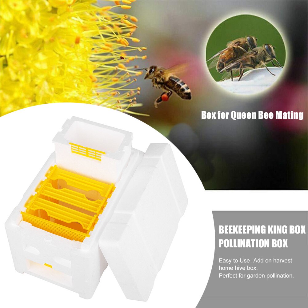 Harvest Bee Hive Beekeeping King Box Pollination Box Beekeeping Tool Perfect for Garden Pollination