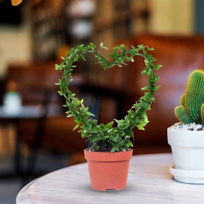 Krata ogrodowa dla rośliny pnące SupportVine roślina metalowy wspornik drut dla roślin wspinaczka uchwyt stojak wnętrz