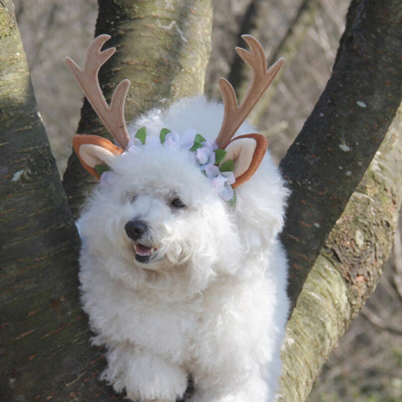 Weihnachten Rentier Geweih Welpen gnade Hütte Haustier hund katze Kopfschmuck mit blumen Haustier Kätzchen Haar Band Hütte Haustier zubehör