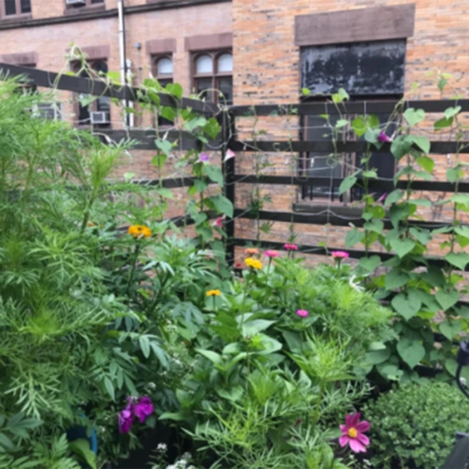 35# Garden Nylon Netting Gardening Climbing Plant Net Fence Green Support Plant Climbing Garden Netting Plant Germination Tool