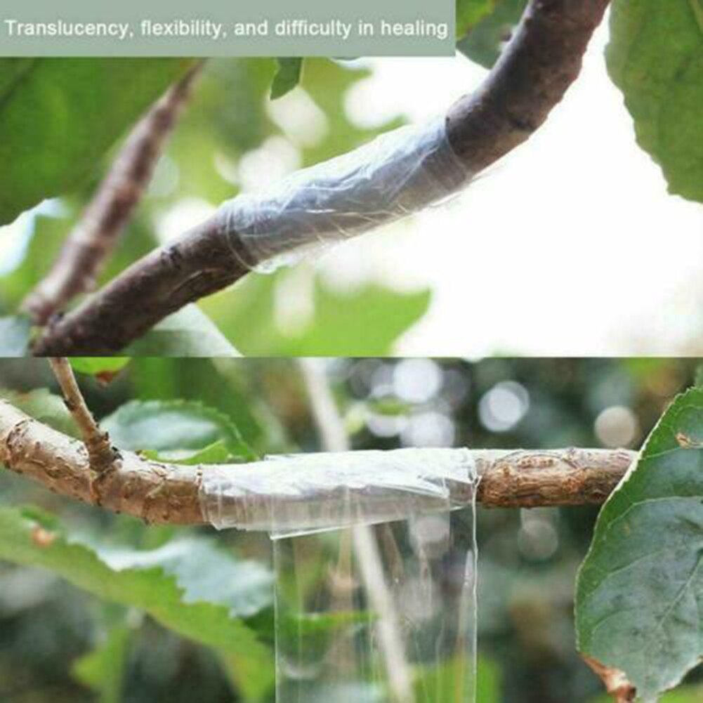 Rollo de cinta de injerto para guardería, rollo de 100m para secar árboles frutales, grabado de ramas, cinturón de jardinería, cinta de lazo de PVC estirable, banda de película de injerto