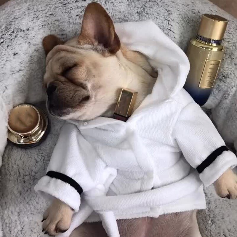 Cat Dog Bathrob Dog Pajamas Sleeping Clothes Indoor Soft Pet Bath Drying Towel Clothes for for Puppy Dogs Cats Pet Accessories