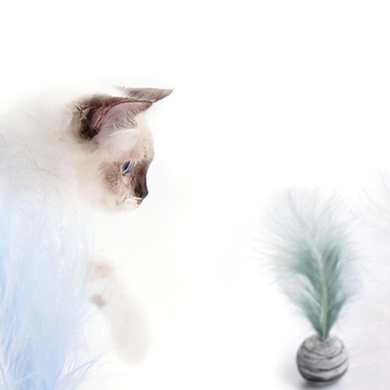 3 couleurs chat jouet étoile balle Plus plume EVA matériel mousse légère balle lancer drôle interactif en peluche jouet bâton plume fournitures