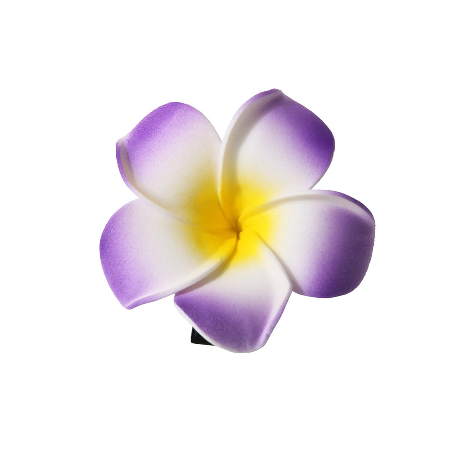 Hawaii plumeria blomma hårspännen för kvinnor flickor blommiga hårnålar för sommar strand bröllopsfest håraccessoarer: Choklad