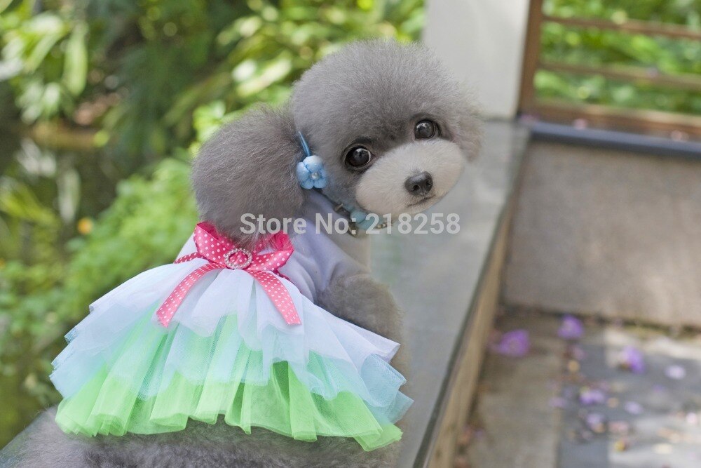 Leuke Zomer Buttlyfly Boog Tutu Honden Dress Jurk Voor Hond