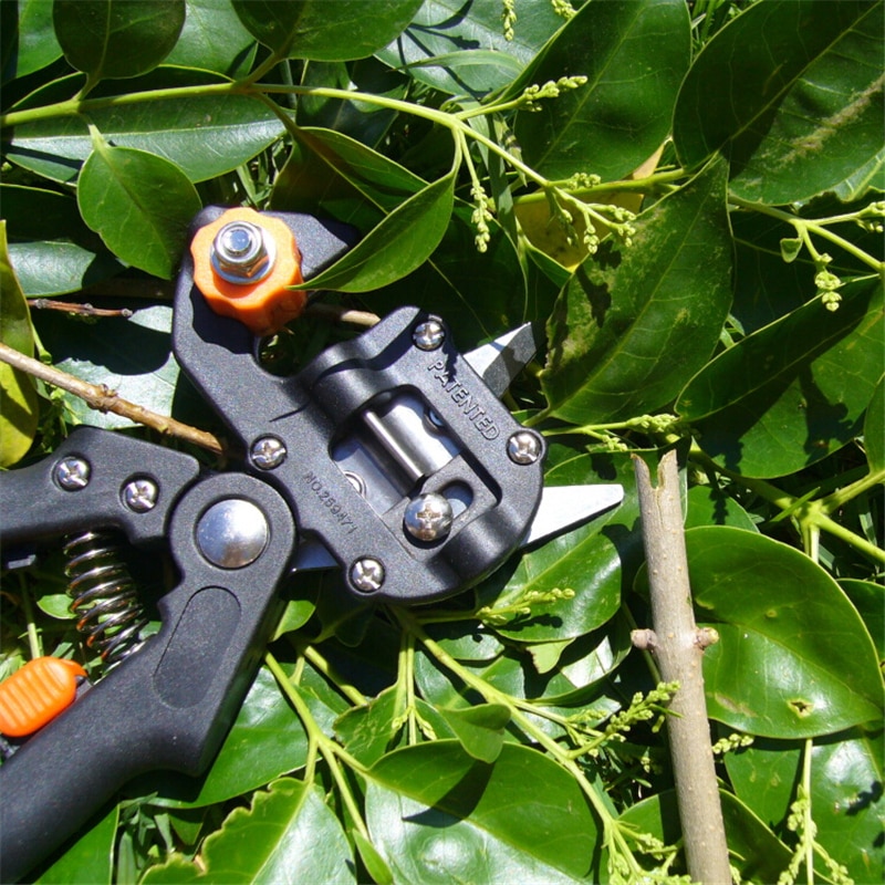 Kit de greffage de jardin | Outils de coupe de taille, Kit 2-en-1 outils de greffe, Kit de sécateur, greffe de oméga, U