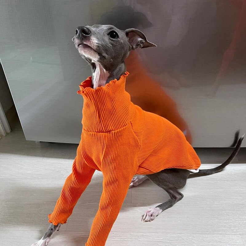 Puhdas väri kaksijalkaisen koiran vaatteet vinttikoira whippet koiran vaatteet koiran takki joustava mukava koiran pyjama