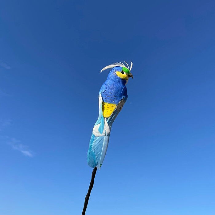 Mini Auto Antenne Decoratie Exterieur Decoratie Antenne Leuke Cartoon Voedsel Pop Cactus Dak Modificatie: NO.12