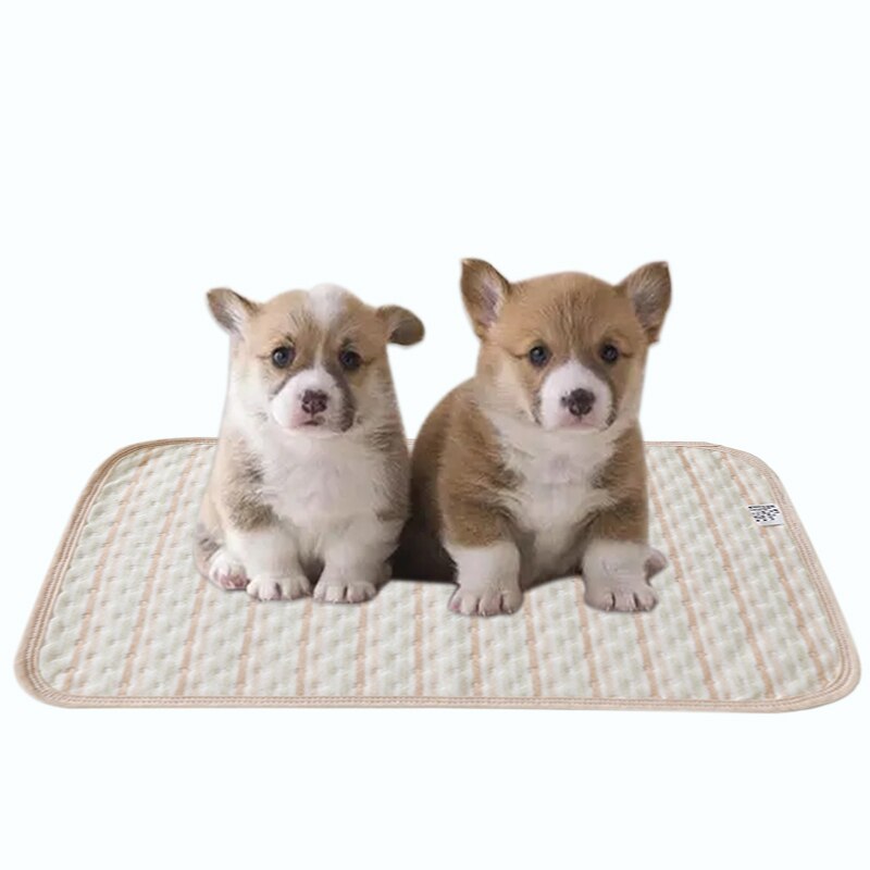 Couche imperméable pour animaux de compagnie, tapis d&#39;entraînement réutilisable pour chien, protection de l&#39;environnement, couverture de canapé respirant