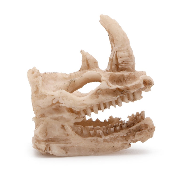 Artifical Rhino Skull Fish Tank Simulation Statue Ornament Landscape Crawler Dragon Lizard Decor Terrarium Reptile Cave House