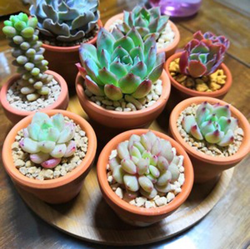 Red pottery flowerpot tray red clay tray pot holder pot base water tray round tray