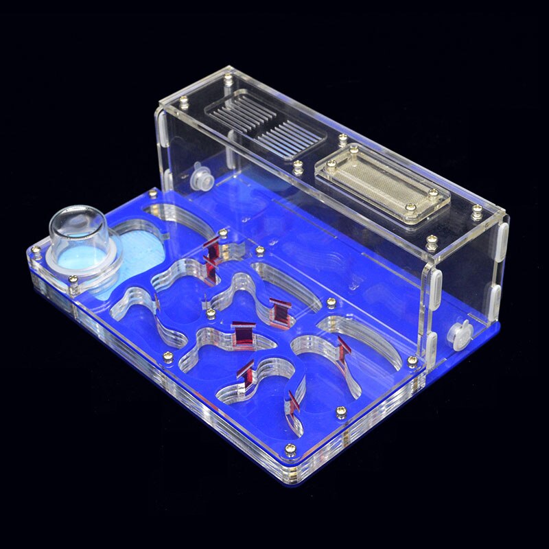 Granja acrílica de hormigas, hormiguero plano, grande, con área de alimentación y pared de taller, dimensiones 15*20*7.5cm: Azul