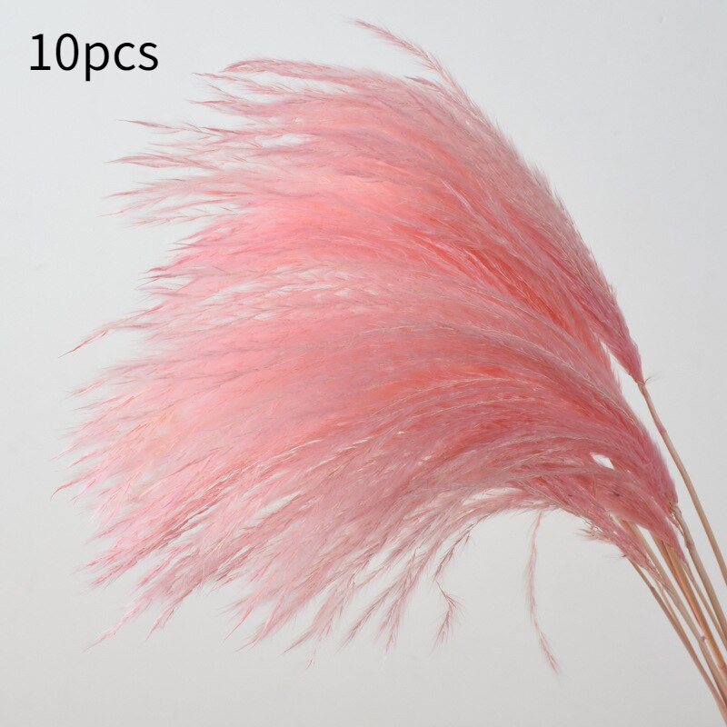 10Pcs Dry Dried Small Pampas Grass Flowers Pantas Artificiales Para Decoracion Real Plants Home Decor Wedding Decoration: small pink