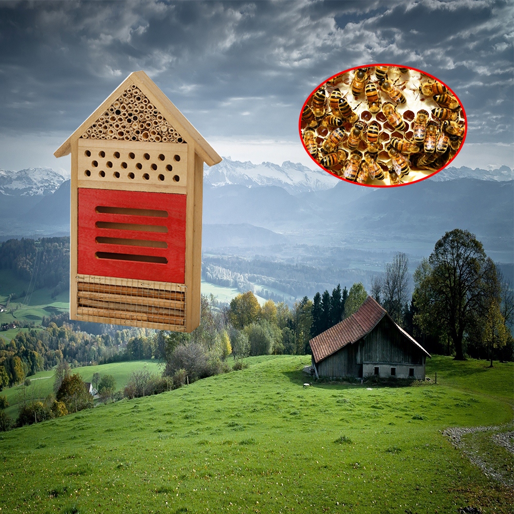 Insekt bi hus træ bi reder kasse bikube bug shelter rede boks insekt boks bihus honning værktøj haven dekoration
