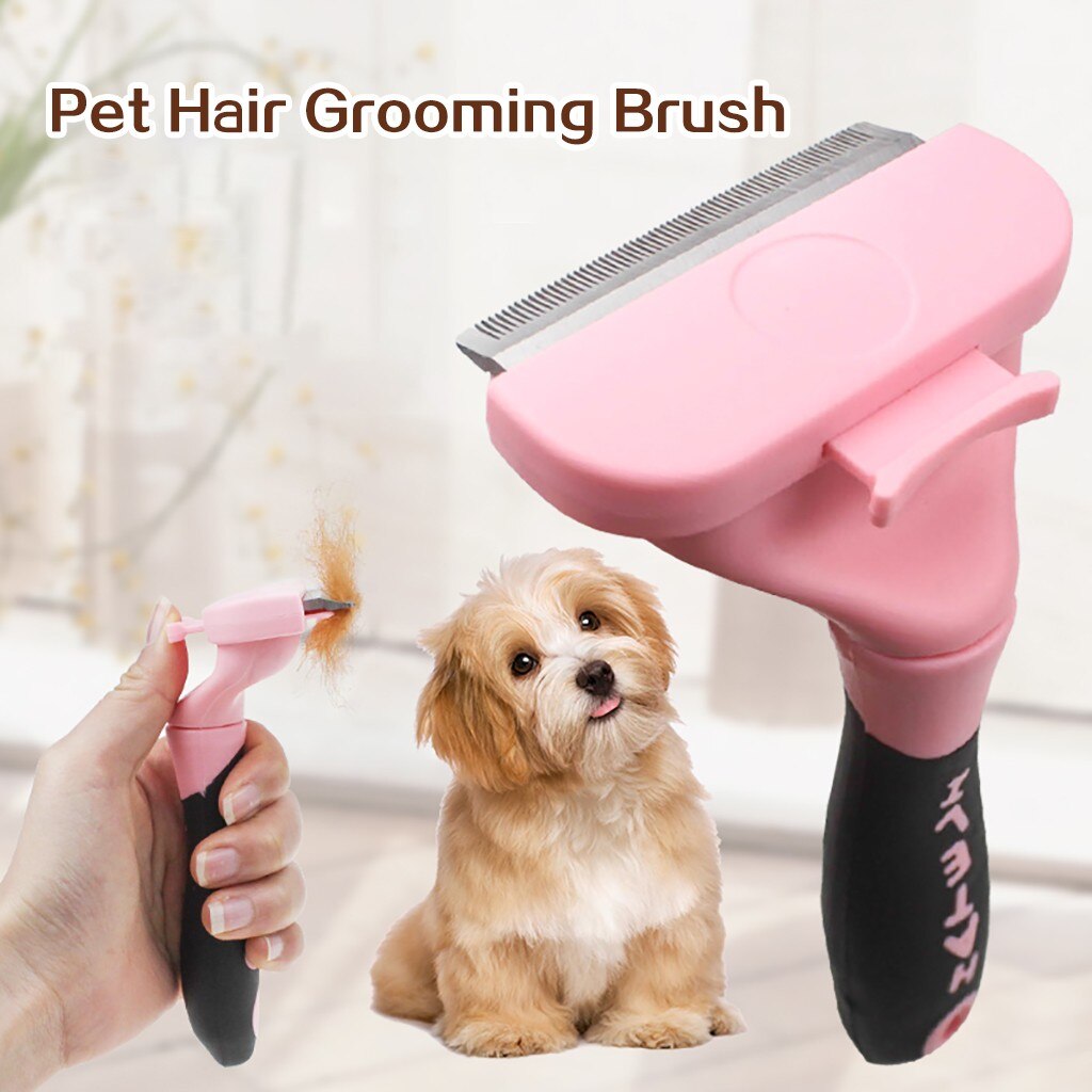 Deshedding Borstel Hond Haar & Kat Haaruitval Tool Effectieve Grooming Tool Leisure Delicate Duurzaam Handig Praktische