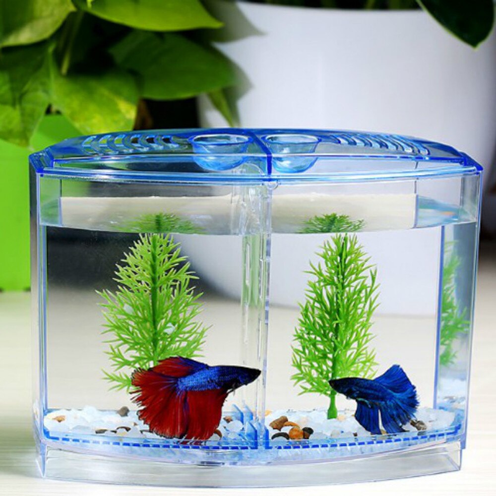 Mini arktisk fiskeavlskasse dobbelt guppy ruge dobbelt klækning akvarium betta gennemsigtig kasse  wf1020