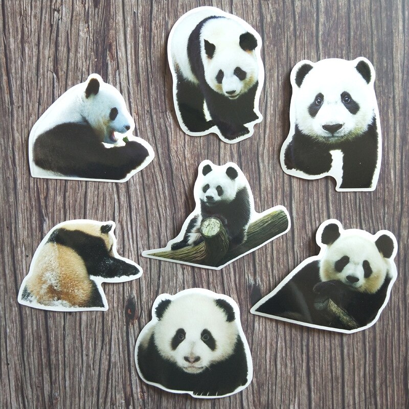  zw 50 stück niedliche panda-aufkleber für koffer, skateboard, laptop, gepäck, kühlschrank, handy, auto – diy-aufkleber
