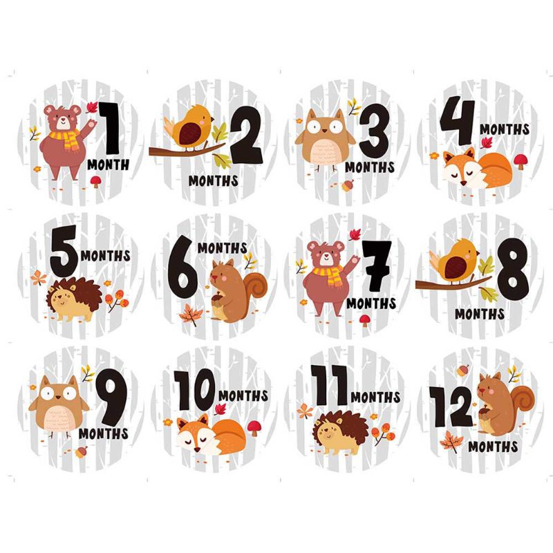 Baby Monthly Stickers,Baby First Year Month Age Growth Milestones Sticker Unisex GXMB: 2