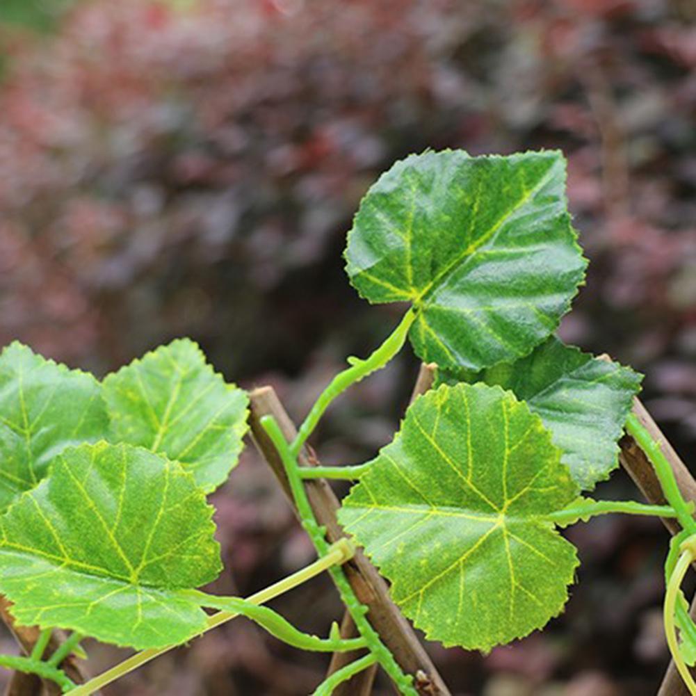Trellis hekwerk intrekbaar hekwerk kunsttuin plantenhekwerk uv-beschermd privacyscherm voor buiten en binnen gebruik tuinhekwerk