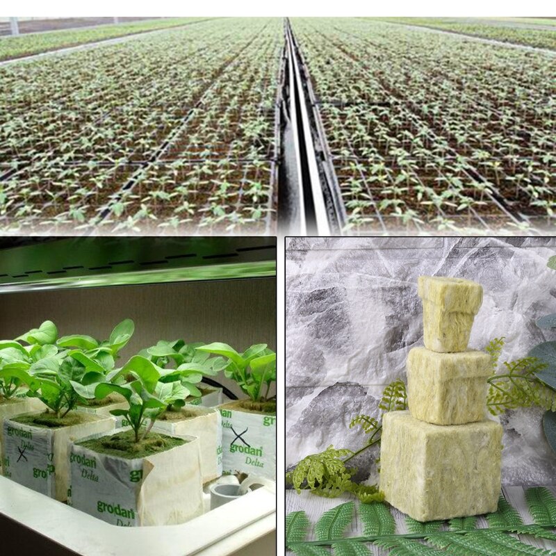 Cube de laine de roche culture hydroponique culture hors sol plantation compresse Base Q1JA