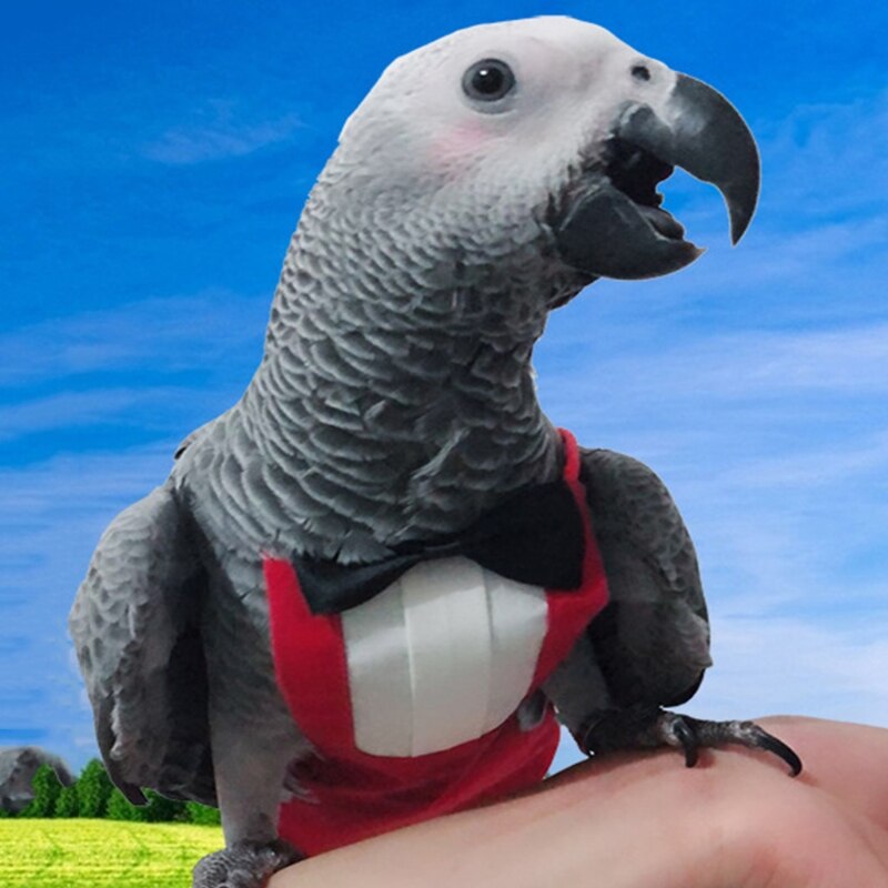 Cute Birds Flight Suit with Bow Tie Parrots Cute School Uniform Tuxedo Business Suit Pet Diapers Clothes for Party Prop