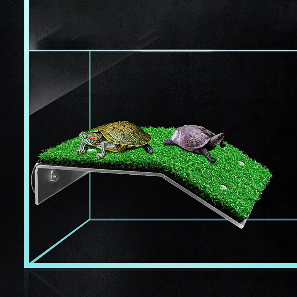 Kilpikonna kuivausalusta kilpikonna kiipeilytikkaat matelija kilpikonna akvaario akvaario kalasäiliö simuloitu nurmikon maisemointi elinympäristön koristelu