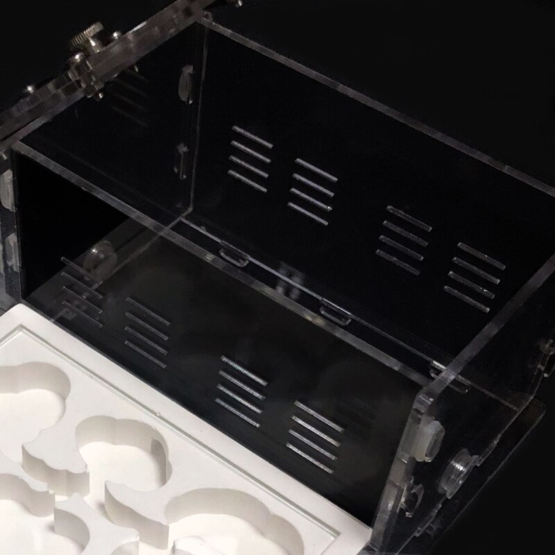 Acrylic Flat Ant Farm Ecological Plaster Ant Nest With Feeding Area Gypsum Ant House Anthill Pet Ant Workshop 8* 13*7.5cm