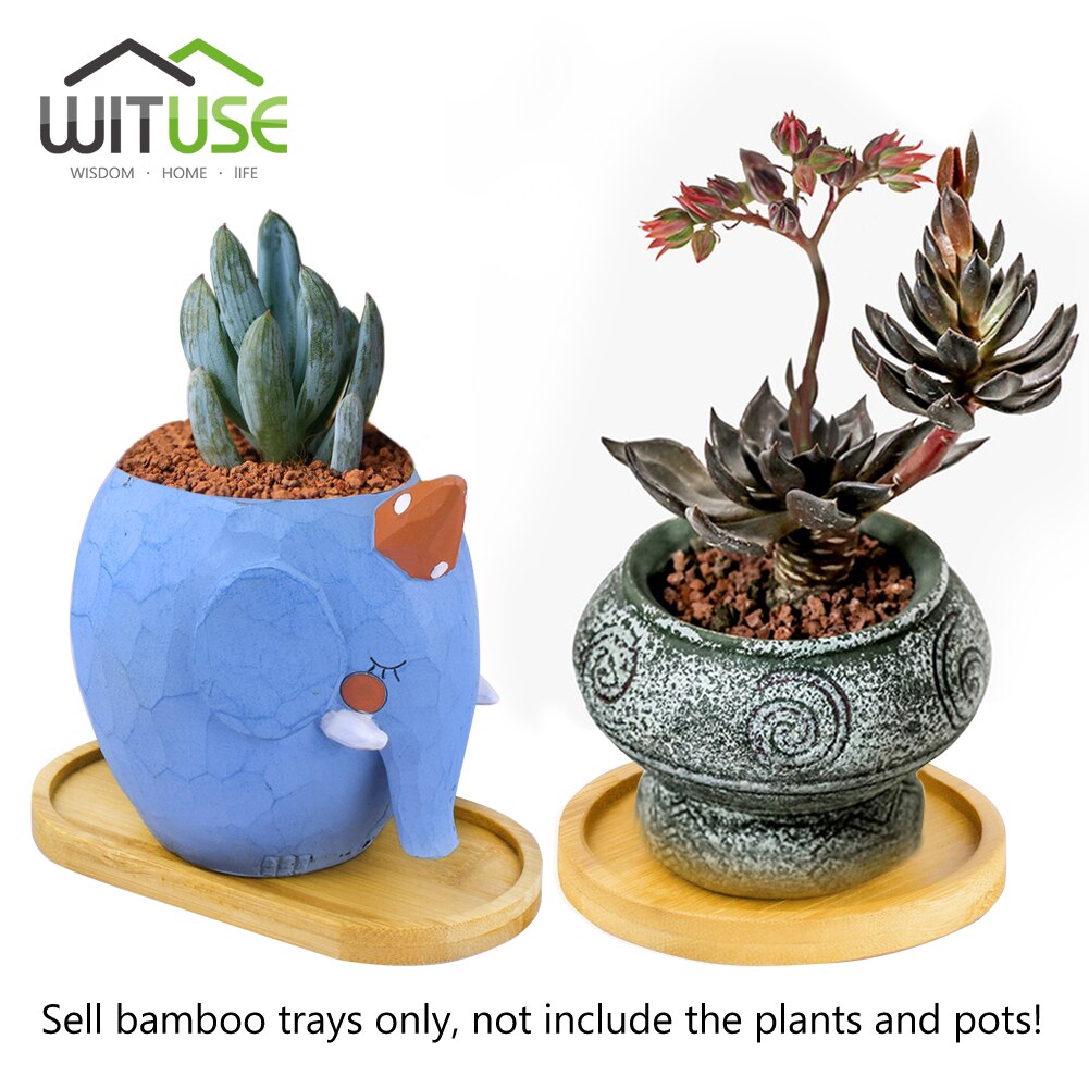 2pc Bamboo Home Mini World Garden Decoration Pot Trays Miniature Figurines Flowerpot Plate DIY Accessories Ornaments