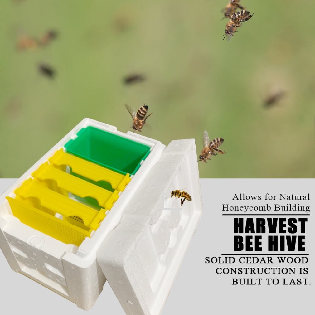 Bee Mating Box Beekeeping Tools Foam Beehive Bee Mating Box Bee Queen Reserve Box Pollination Case Set Breeding Equipment
