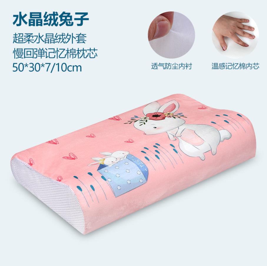 Memory Foam Bed Orthopedisch Kussen Voor Nekpijn Slapen Gezondheid Met Geborduurde Fijne Fluwelen Kussensloop Thuis 60*30Cm top F0436: 17