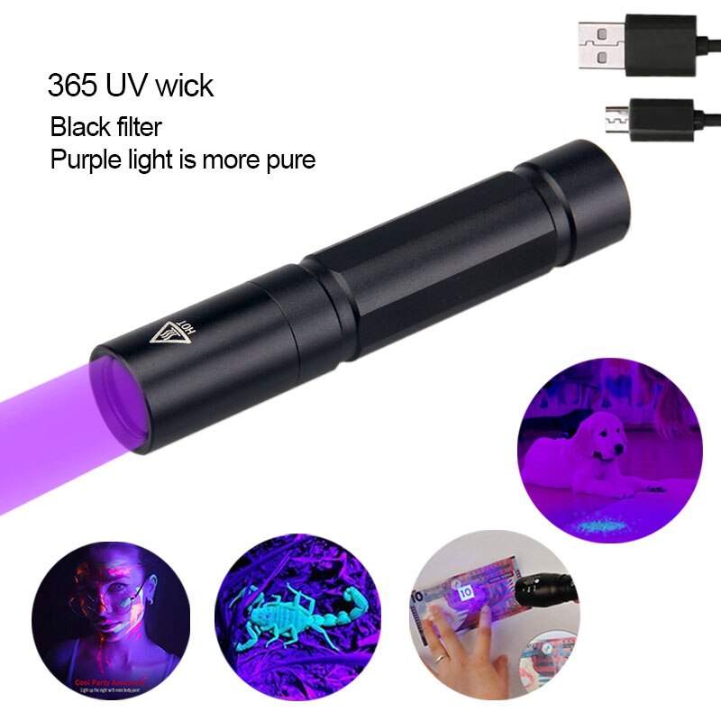 Mini linterna UV de 5W de 365nm, luz ultravioleta negra, linterna púrpura recargable vía USB, alfombra, Detector de orina de mascotas, escorpiones de captura: only torch