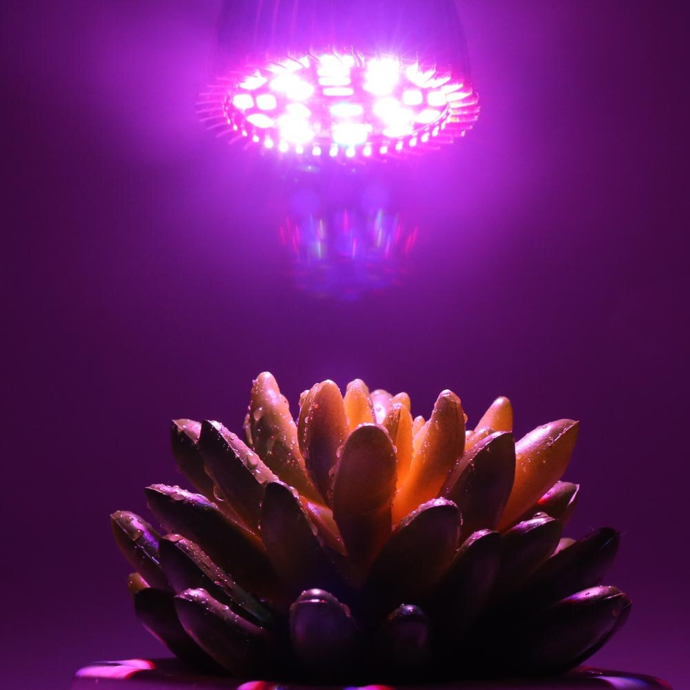 Planten led kweeklamp  e14/ e27/gu10/  phytolight uv ir phytolamp voor binnen bloemen groente zaden planten tent kas hydrocultuur