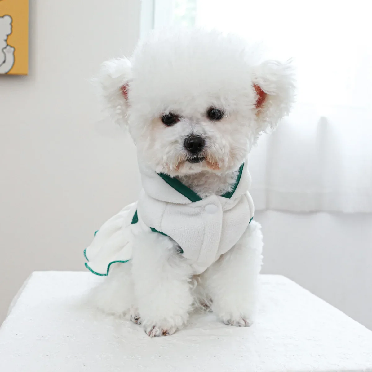 Pet Hooded Plush Hoodie Little Dog Cat Clothes Autumn and Winter Tennis Dress Dog Coat Jacket Puppy Clothes Dog Accessories